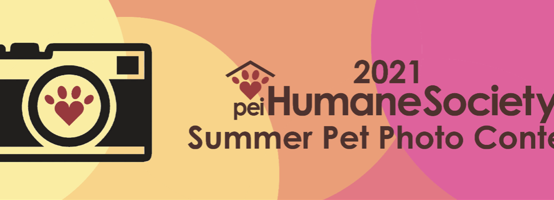 The PEI Humane Society’s 2nd Summer Pet Photo Contest