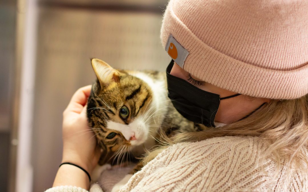 2021: Record-Breaking Year for PEI Humane Society