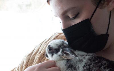 Are you thinking about adopting a rabbit?
