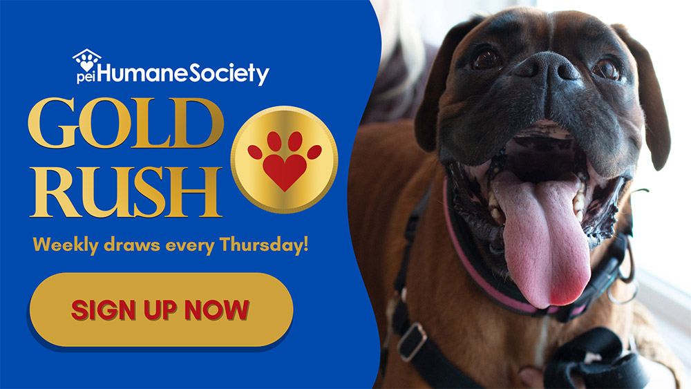 PEI Humane Society Gold Rush - Weekly draws every Thursday